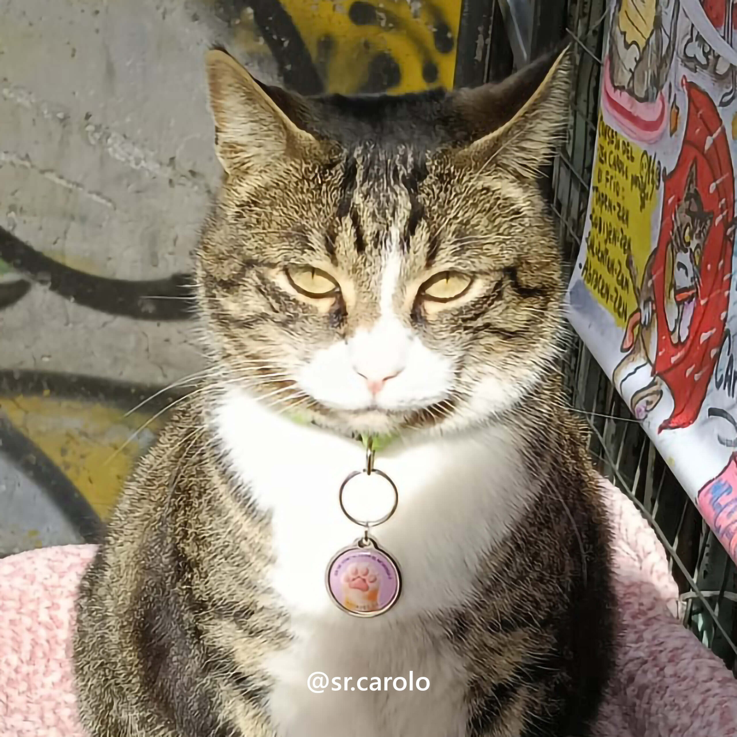 placa qr y nfc metálica para mascotas
