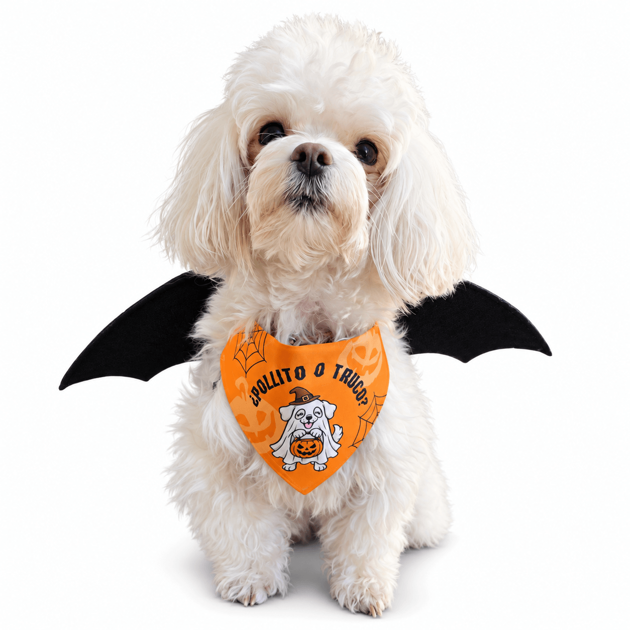 bandana halloween para perros y gatos