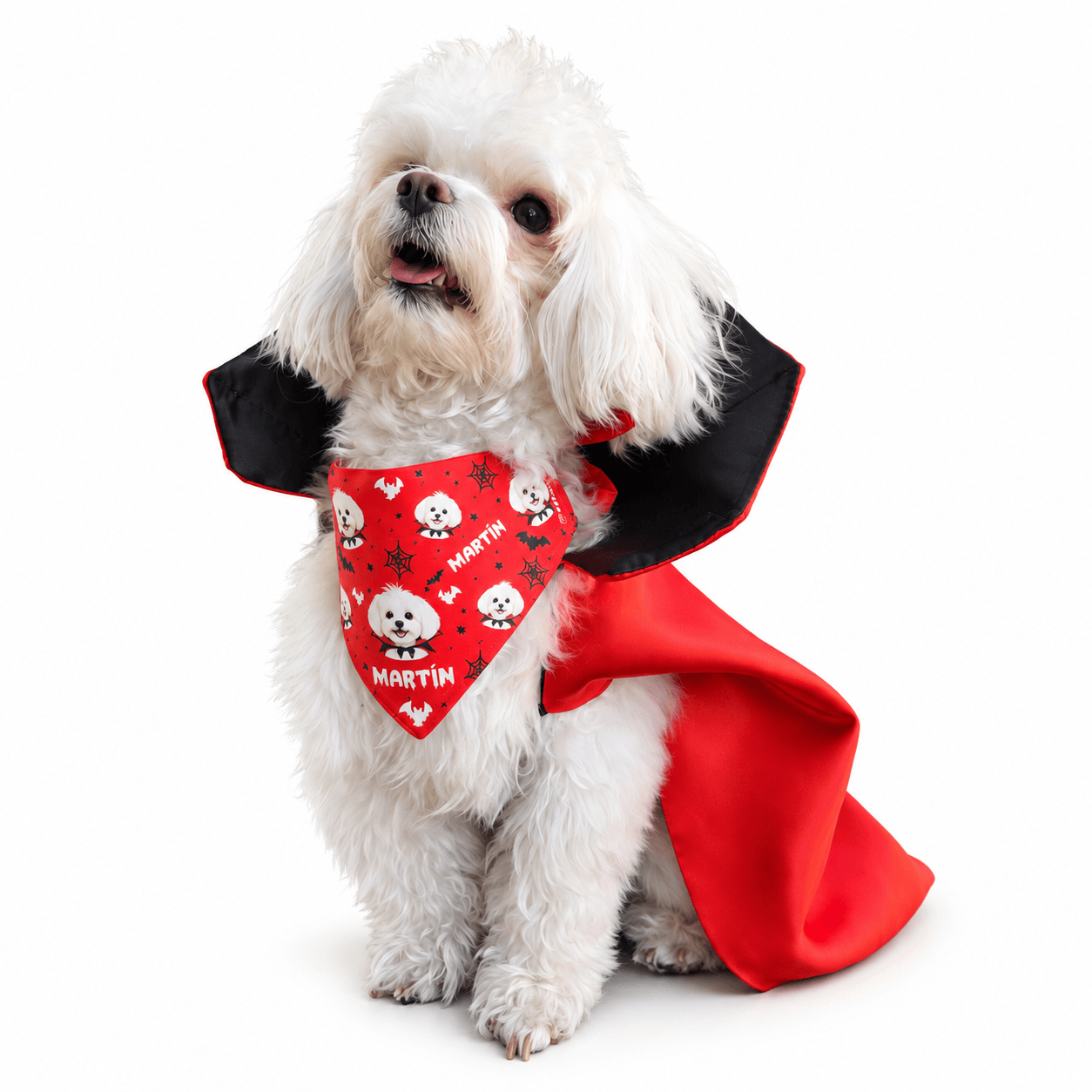 bandana halloween para perros y gatos