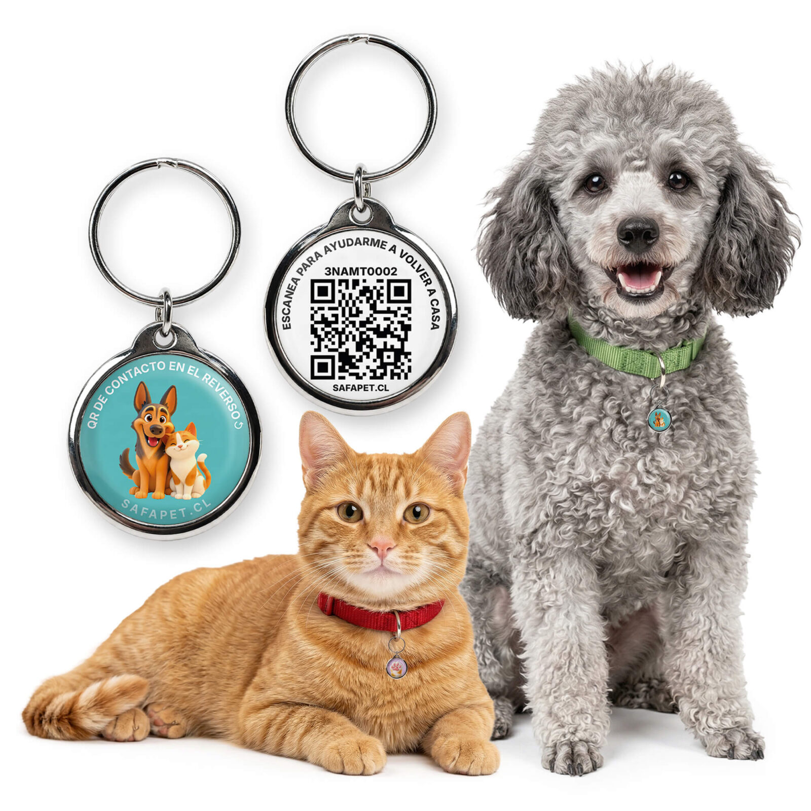 img gato perro placa metalica