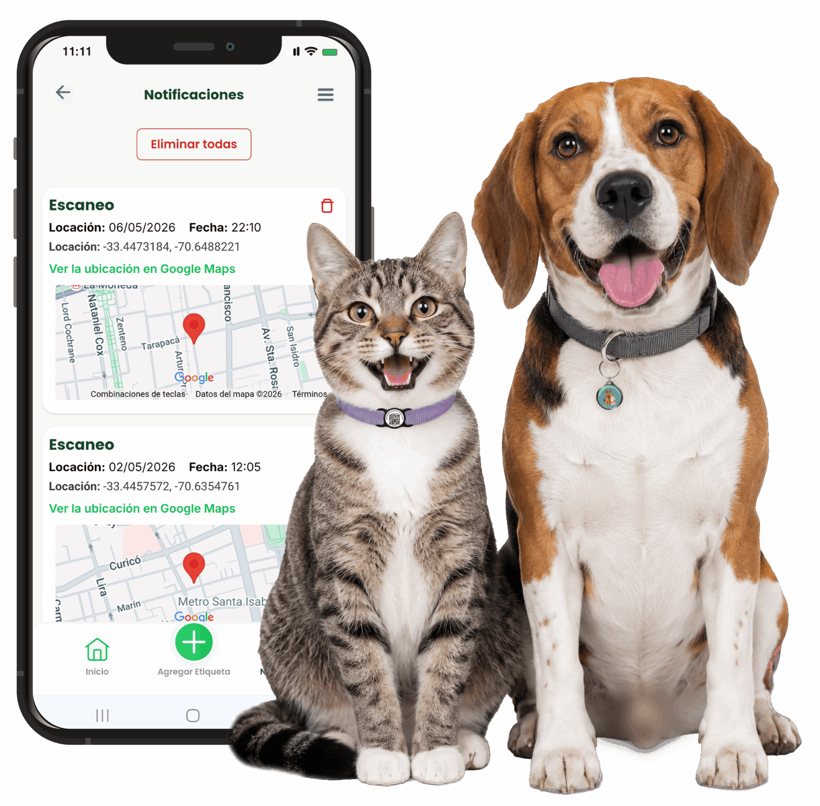img gato perro safapet chile
