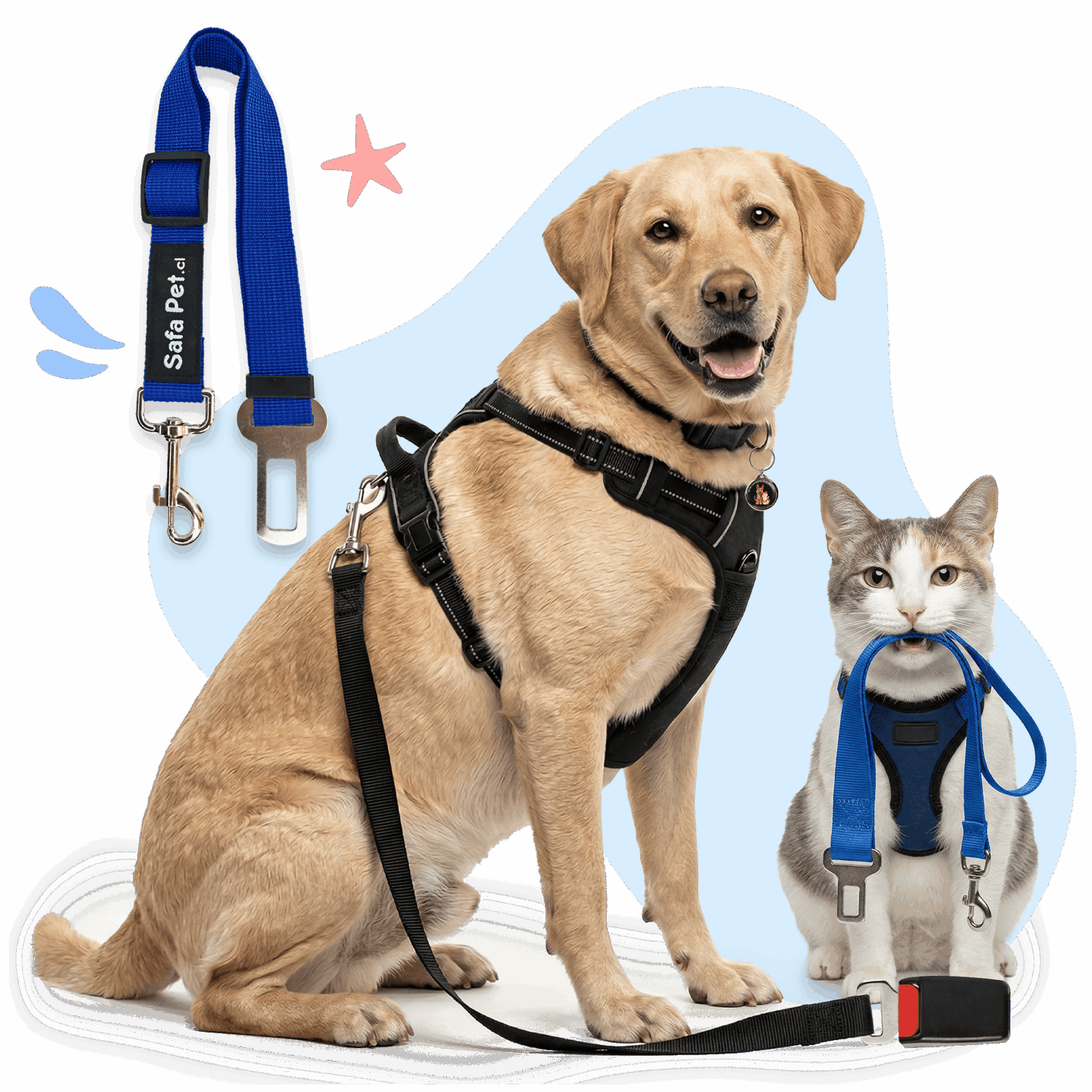img producto cinturon seguridad auto mascotas safapet 1