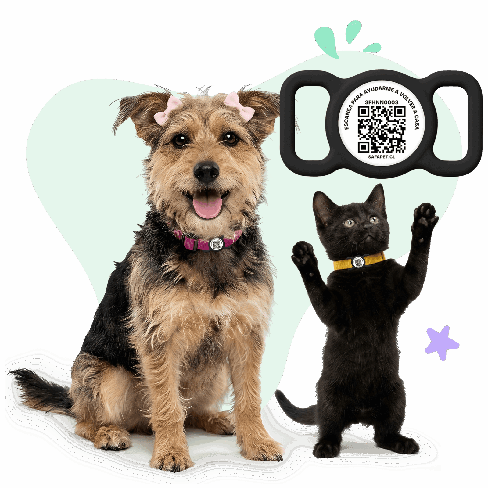 img producto placa ecologica qr mascotas safapet 1