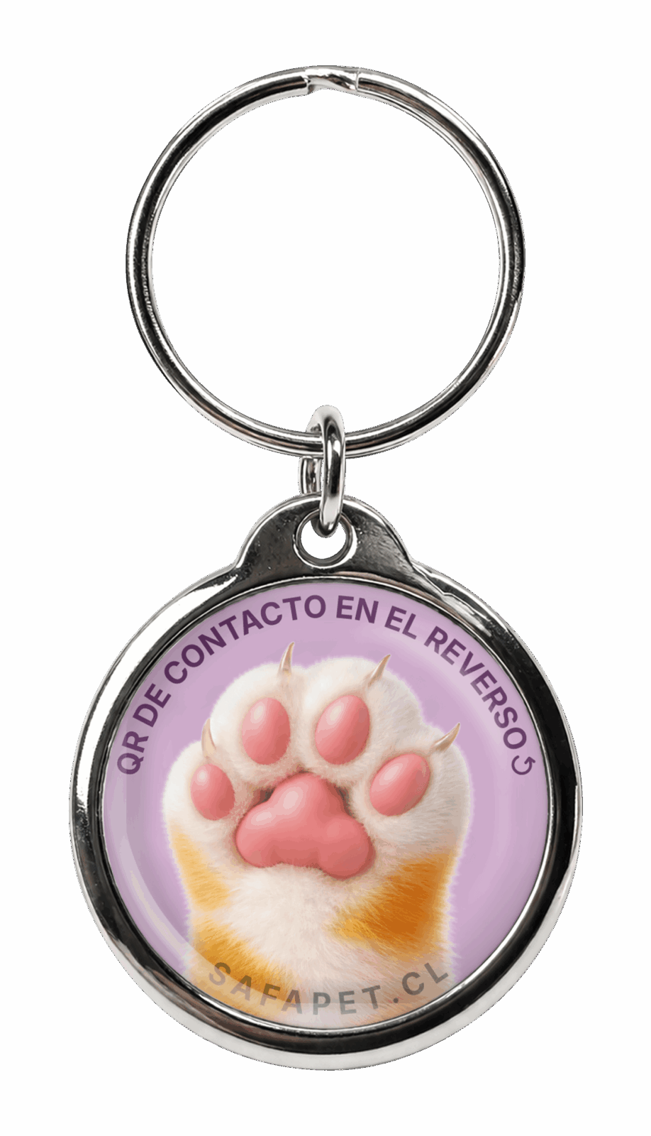 modelo placa pata gatito lila