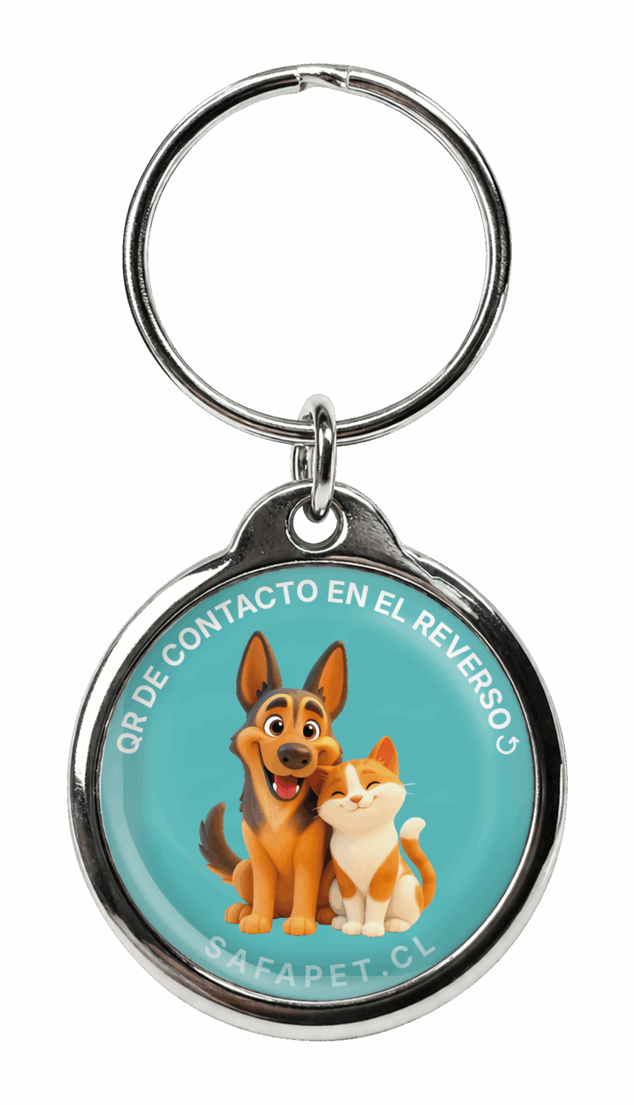modelo placa qr mascotas mejores amigos azul safapet