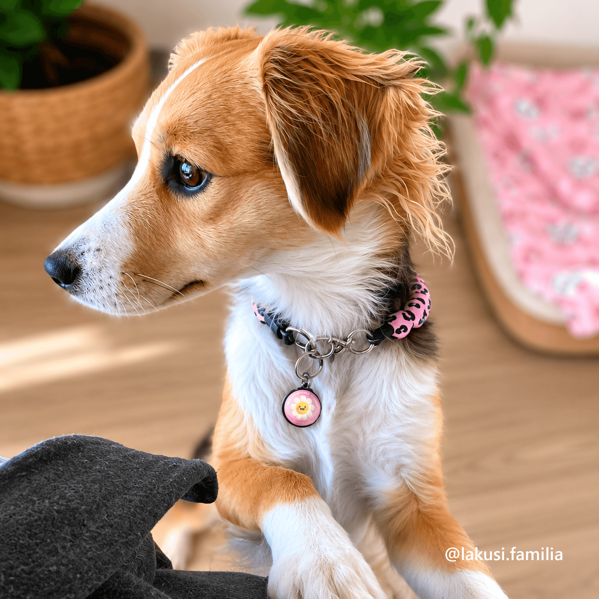placa qr y nfc metálica para mascotas