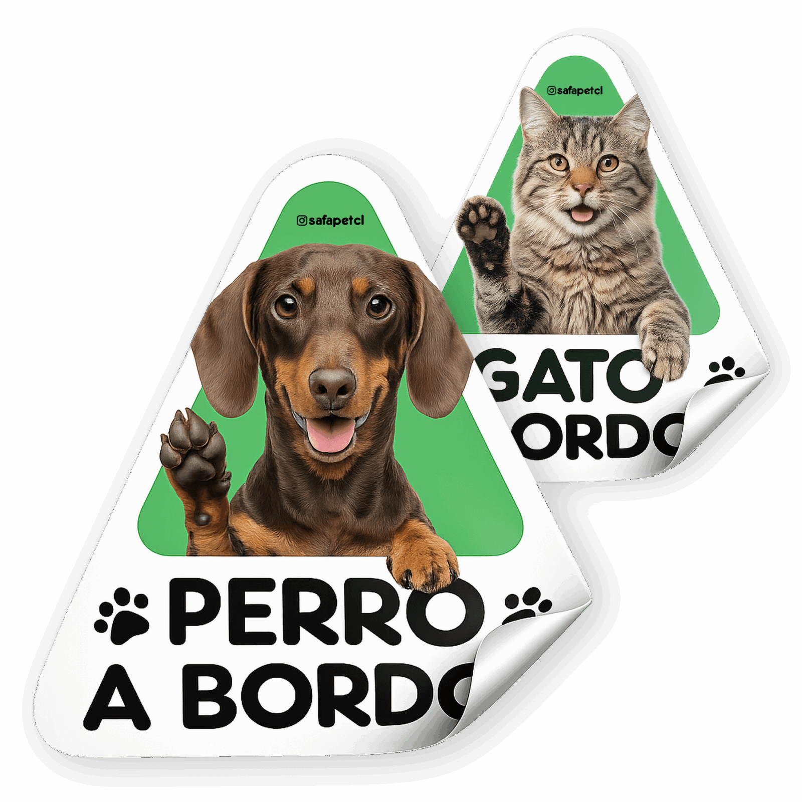 perro o gato a bordo sticker auto chile safapet
